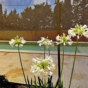 Agradable Con Piscina En La Barrosa Сasa de vacaciones
